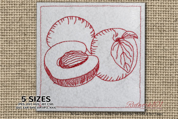 A Fresh Apricot Design for Embroidery Projects